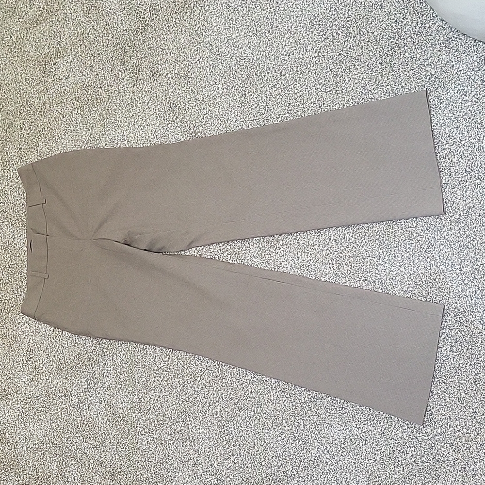 Ann Taylor Dress Pants